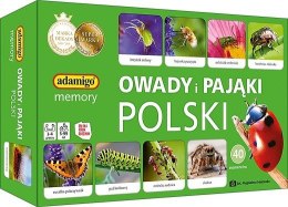 Gra Owady i pająki Polski memory Adamigo