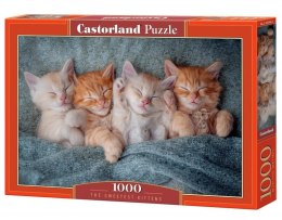 Puzzle 1000 elementów Słodkie kotki Castor